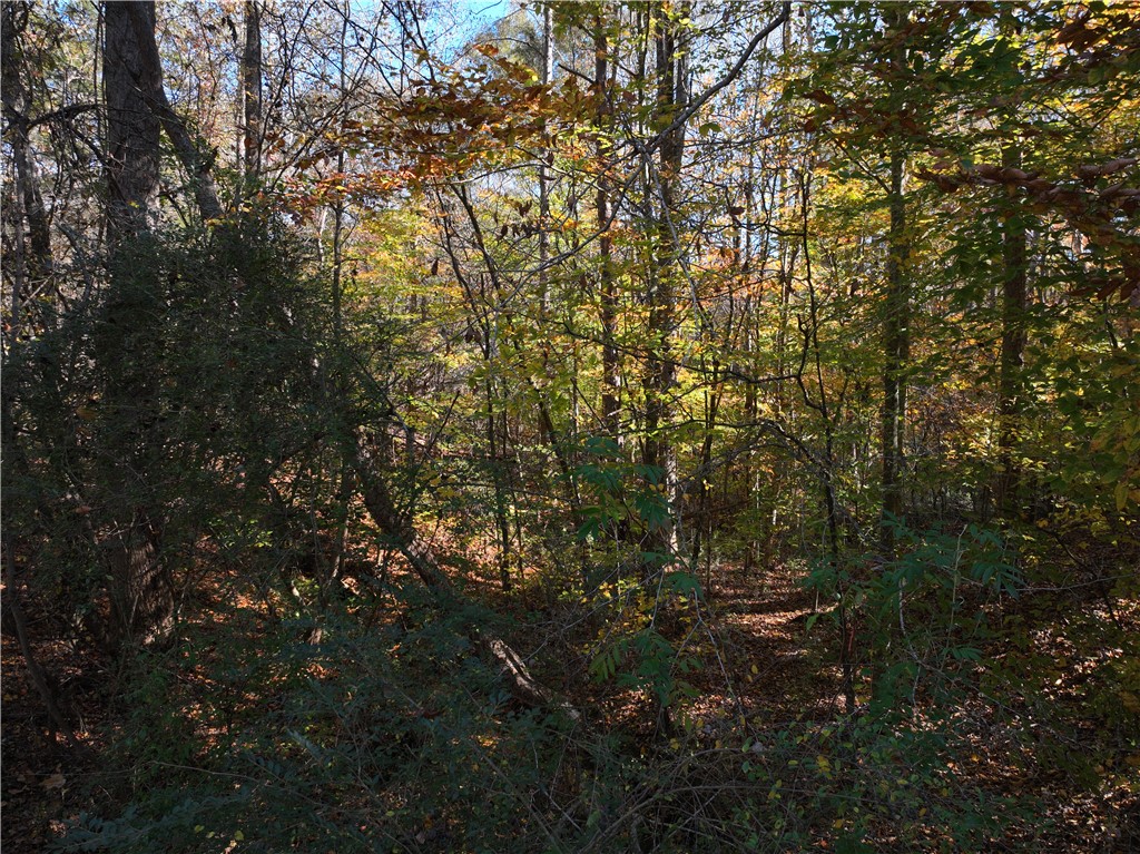 1 Blair Road Laurens, SC 29360 - Photo 11 of 16