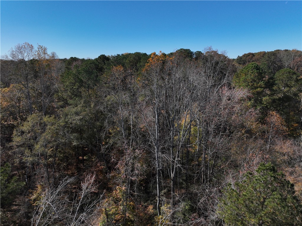 1 Blair Road Laurens, SC 29360 - Photo 7 of 16