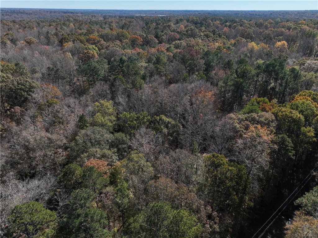 1 Blair Road Laurens, SC 29360 - Photo 8 of 16