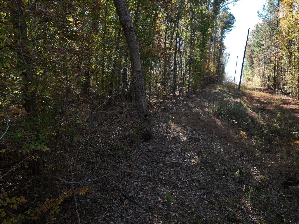 1 Blair Road Laurens, SC 29360 - Photo 10 of 16