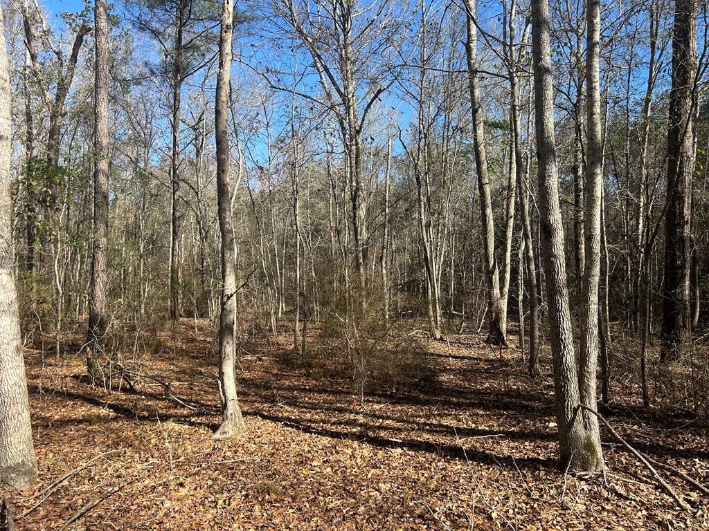 11034-11134 Cty Road Slocomb, AL 36375 - Photo 43 of 80