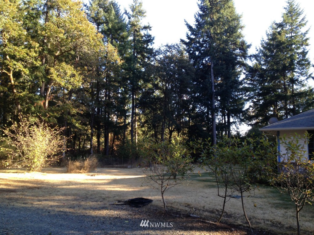 16526 Littlerock Road Southwest Rochester, WA 98579 - Photo 14 of 15