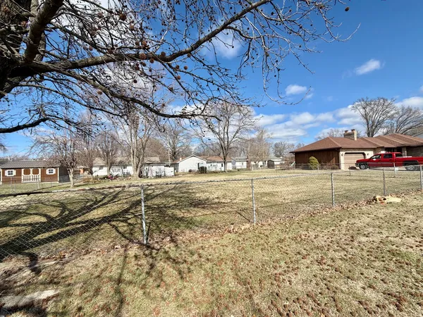 a view of a yard with a large tree