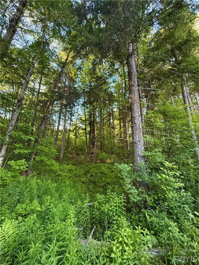 9191 Furman Mills Road Brookfield, NY 13460 - Photo 18 of 30