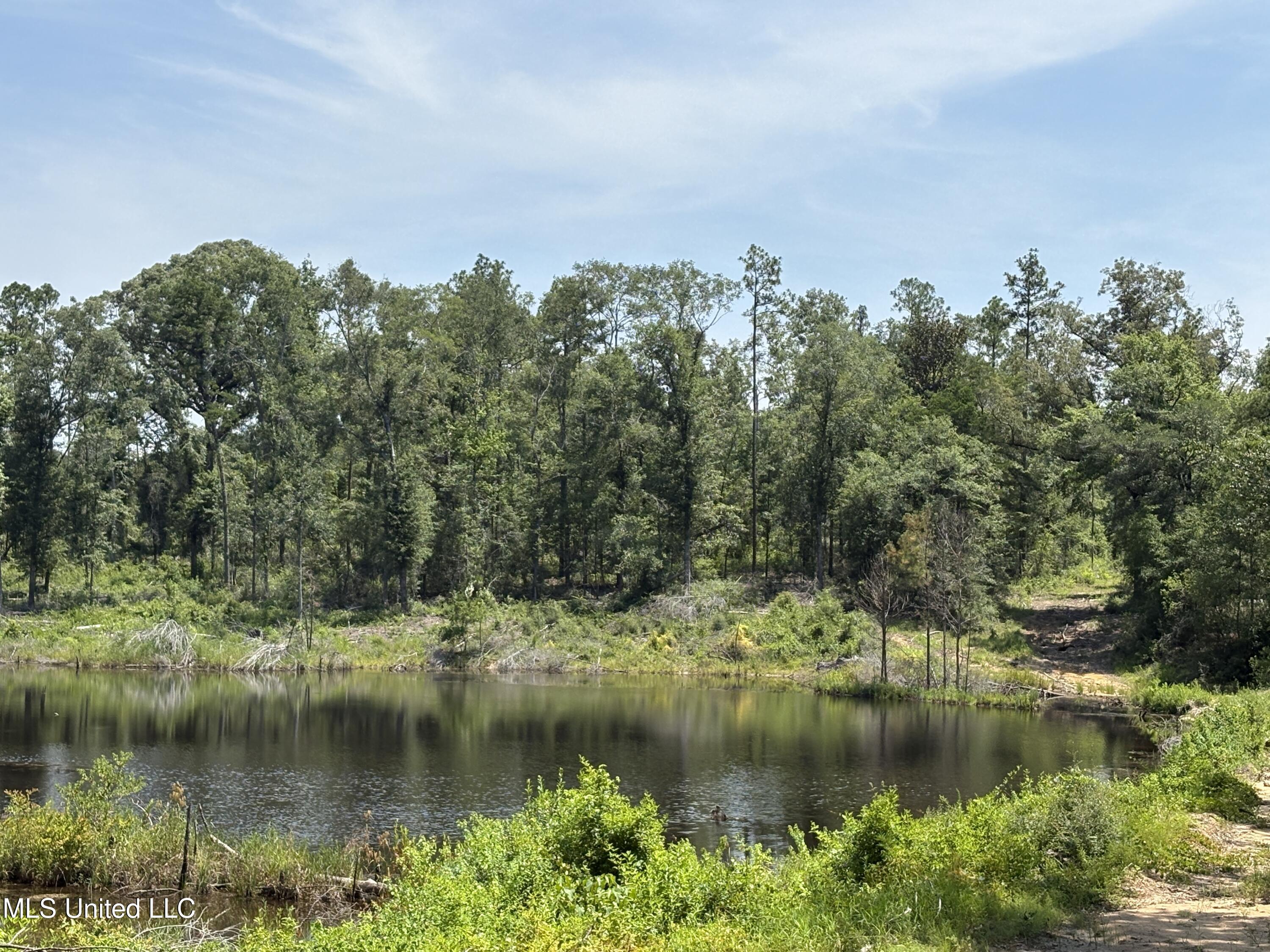 Basin Central Road Lucedale, MS 39452 - Photo 2 of 5 IMG_4544 2