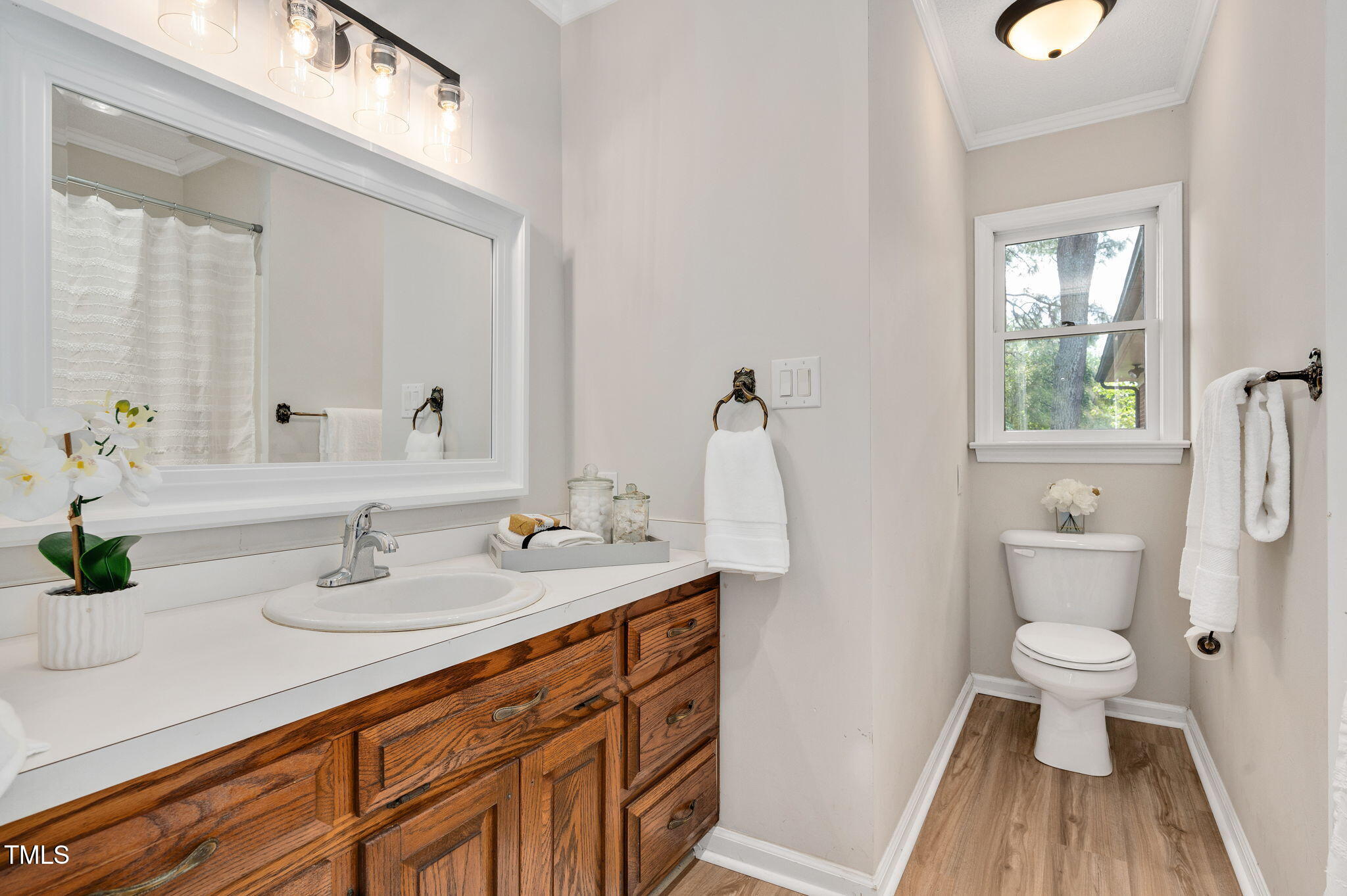 603 Warren Road Erwin, NC 28339 - Photo 29 of 38 a bathroom with a sink a toilet and a mirror