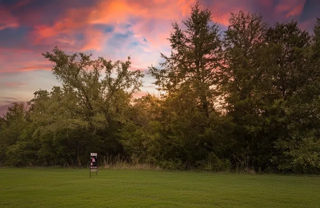 a view of a yard with a dry trees