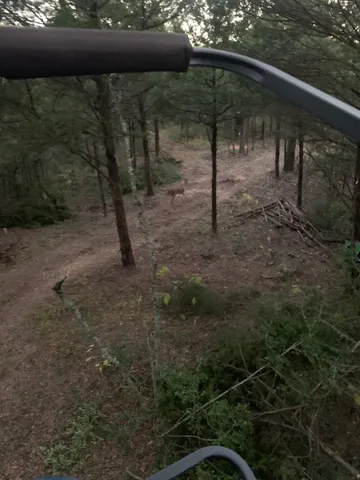 $275,000 | 0 Fm 937, Groesbeck, TX 76642