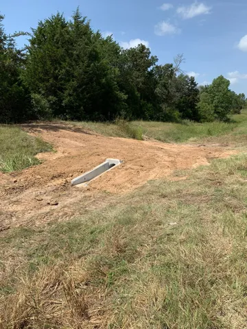 a view of a yard with a tree