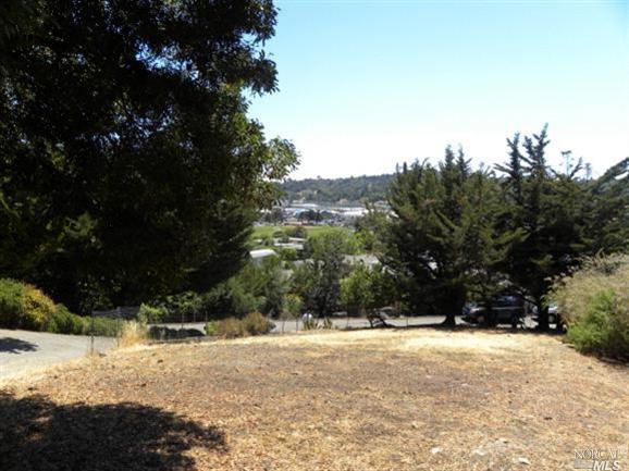 0 Ridge Avenue San Rafael, CA 94901 - Photo 1 of 1 a view of large yard with a tree