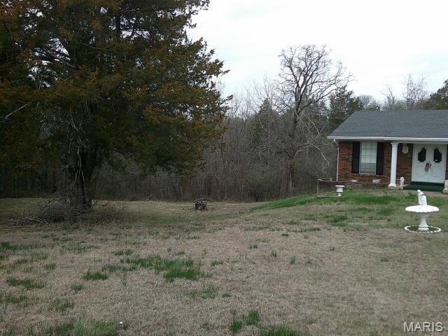 1559 Berry Dairy Road De Soto, MO 63020 - Photo 2 of 37