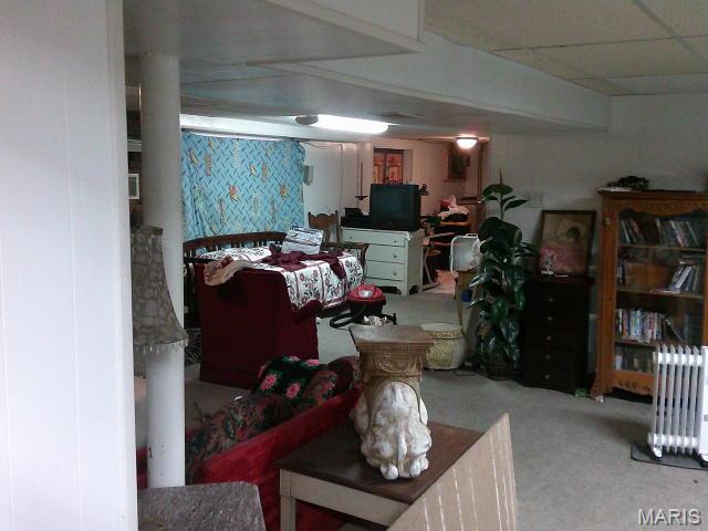 1559 Berry Dairy Road De Soto, MO 63020 - Photo 36 of 37