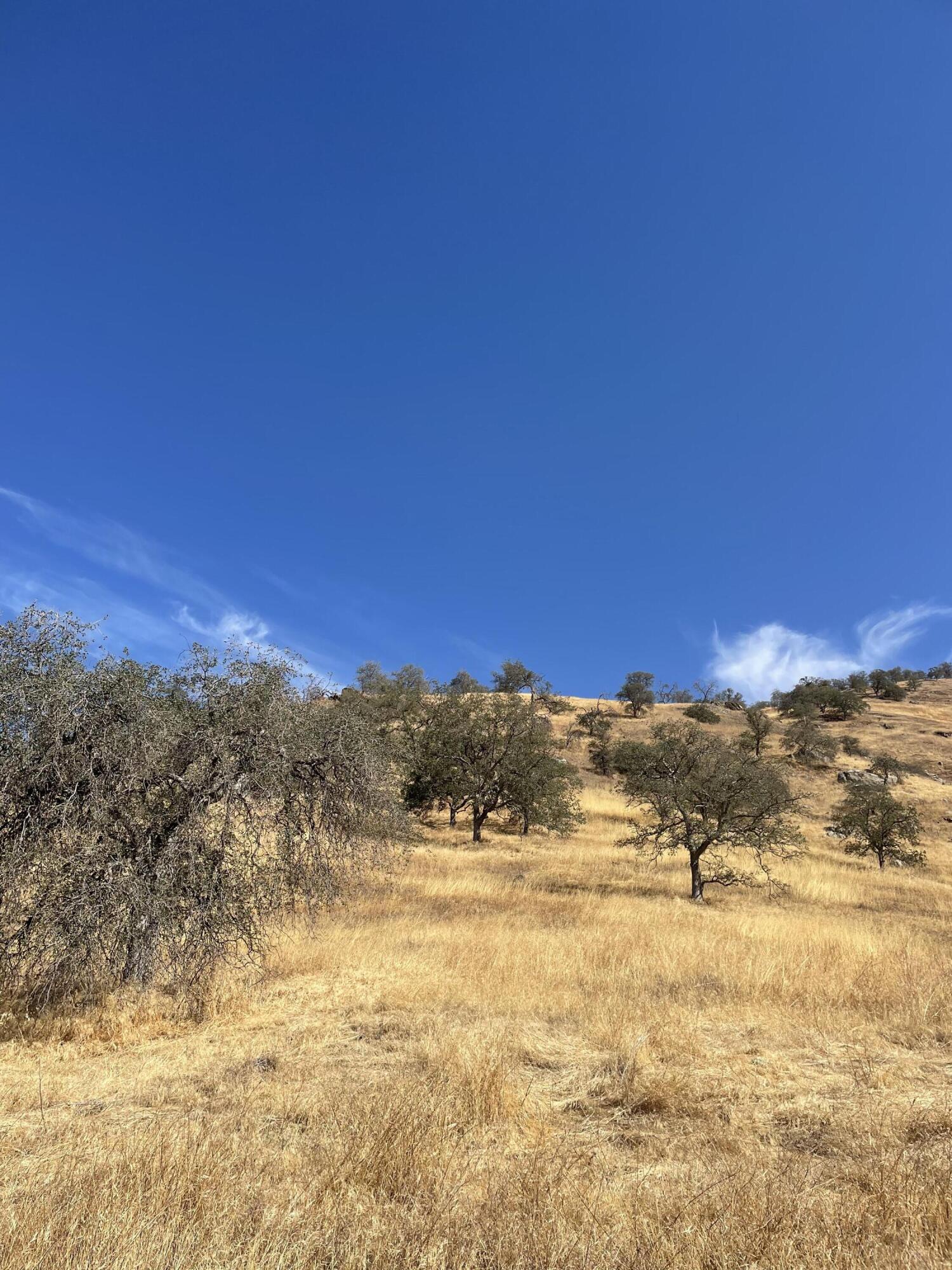42186 Corral Drive Three Rivers, CA 93271 - Photo 2 of 3 IMG_3746