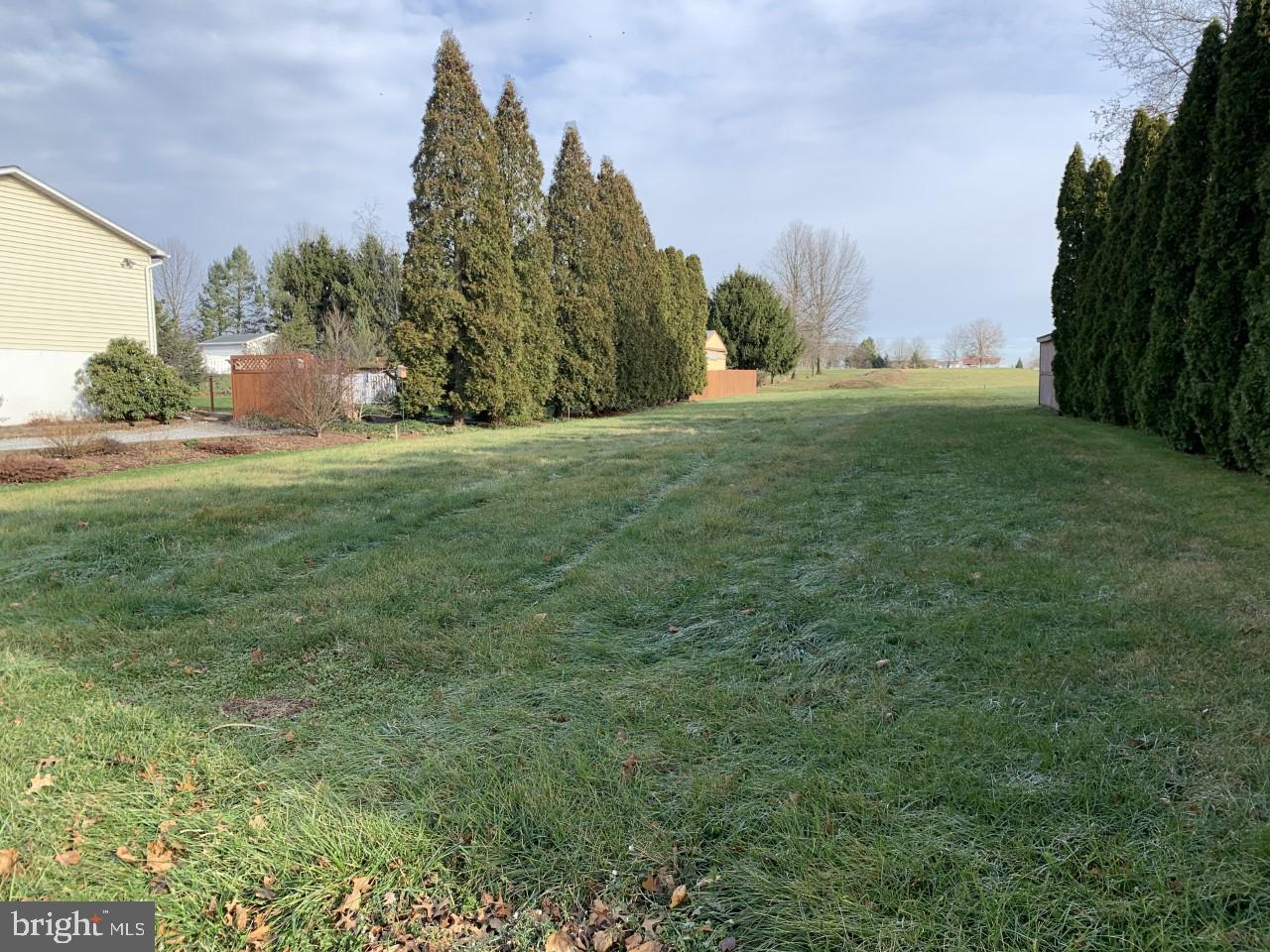 Picture from Meadow Road