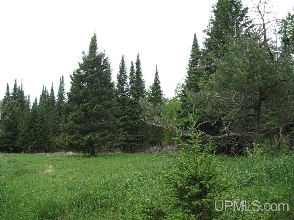 Tbd Co Rd H26 Rock, MI 49880 - Photo 14 of 17
