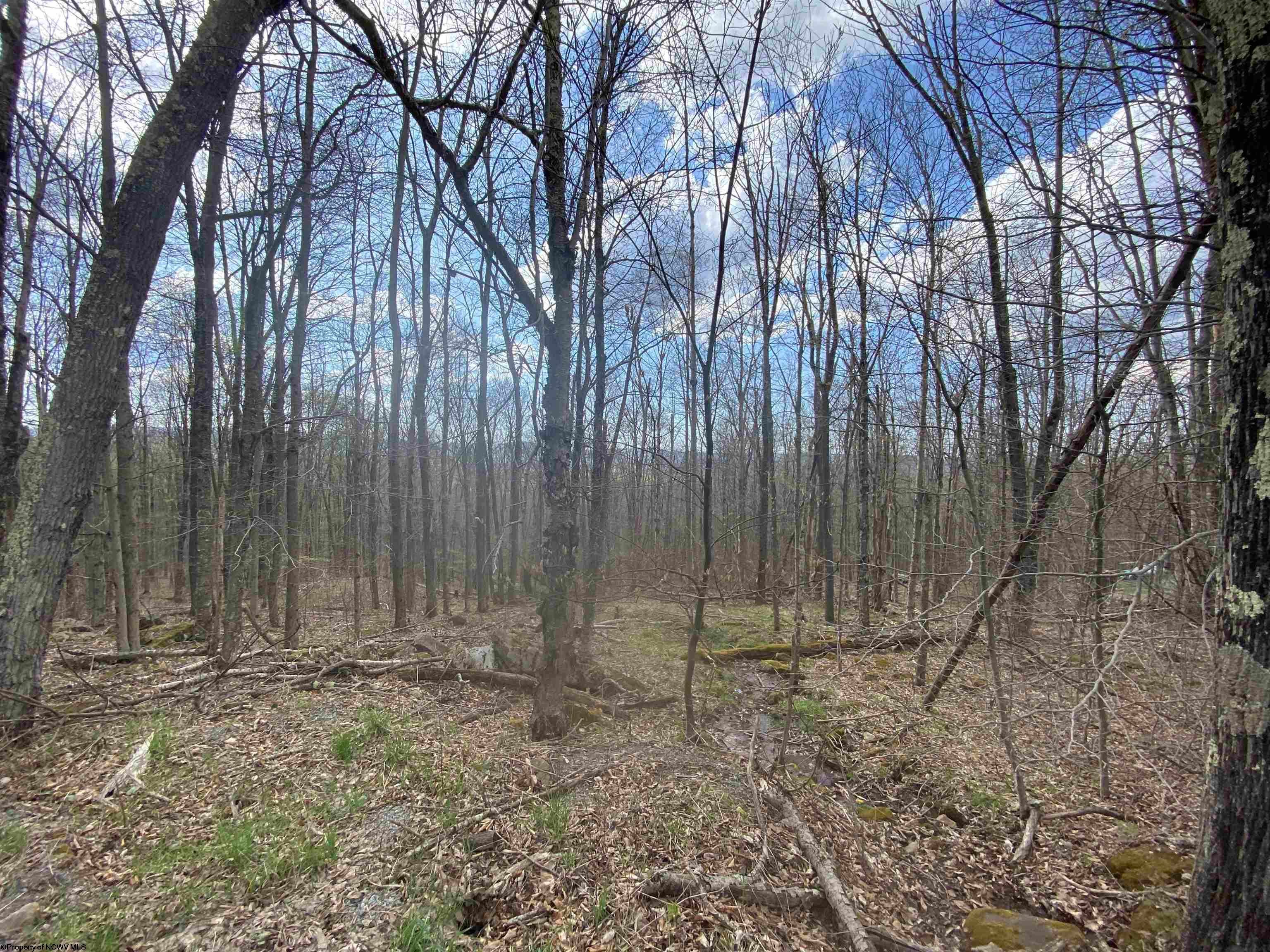 101 Fern Davis, WV 26260 - Photo 10 of 11 Gallery Image 10
