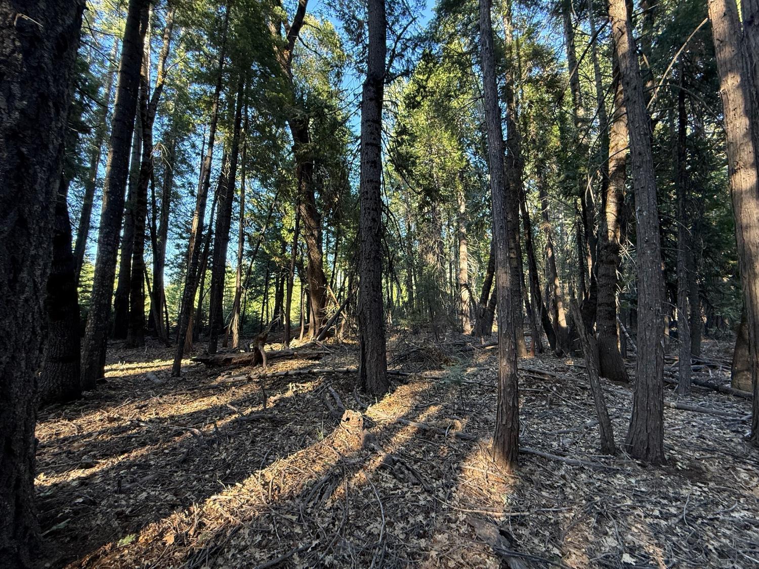0 Chalk Bluff Road Nevada City, CA 95959 - Photo 14 of 14 Gallery Image 14