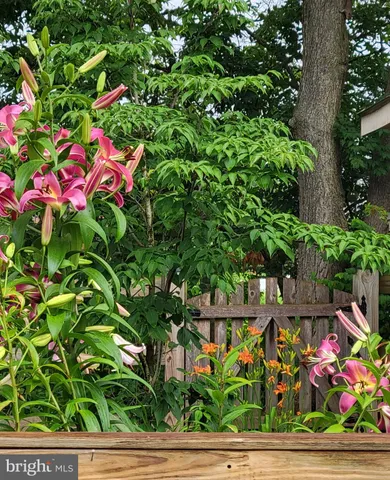 a view of a chairs and table in the back yard of the house