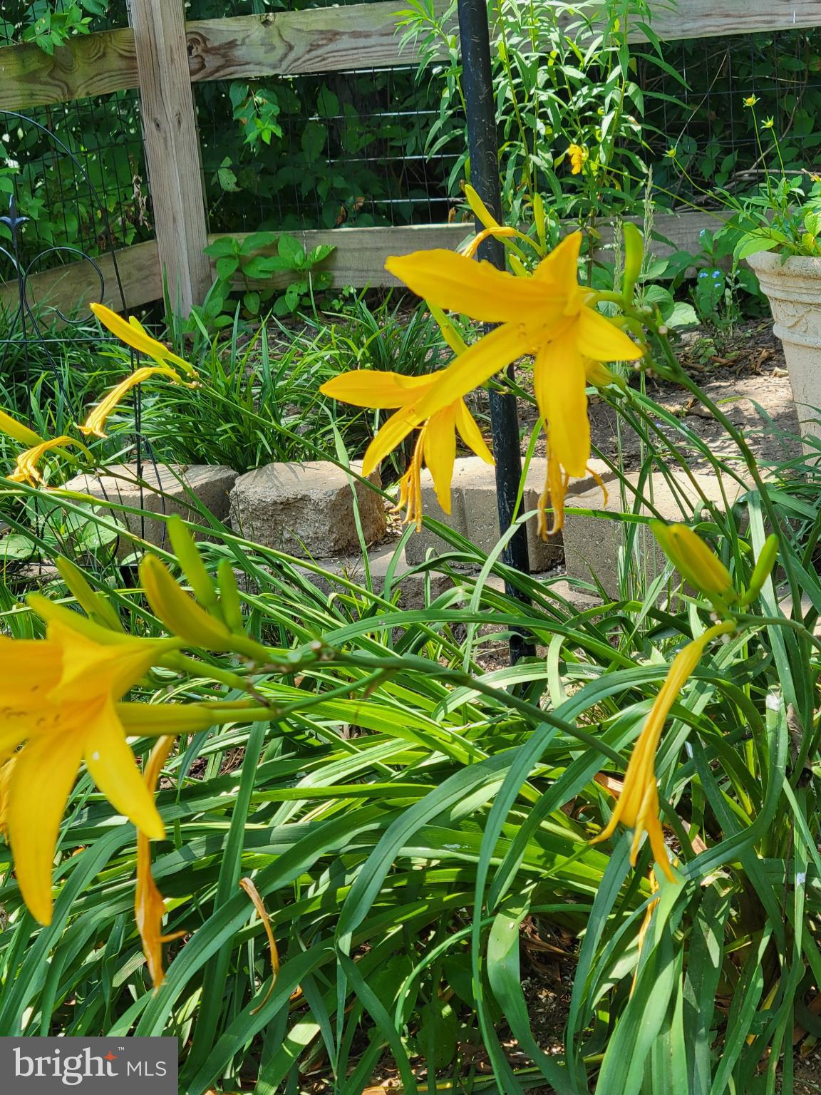 1589 Carey Place Frederick, MD 21701 - Photo 33 of 37 a view of an outdoor space