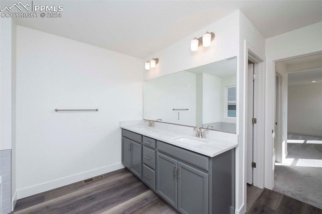 2058 Peachleaf Loop Castle Rock, CO 80108 - Photo 20 of 27 a bathroom with a sink and a mirror