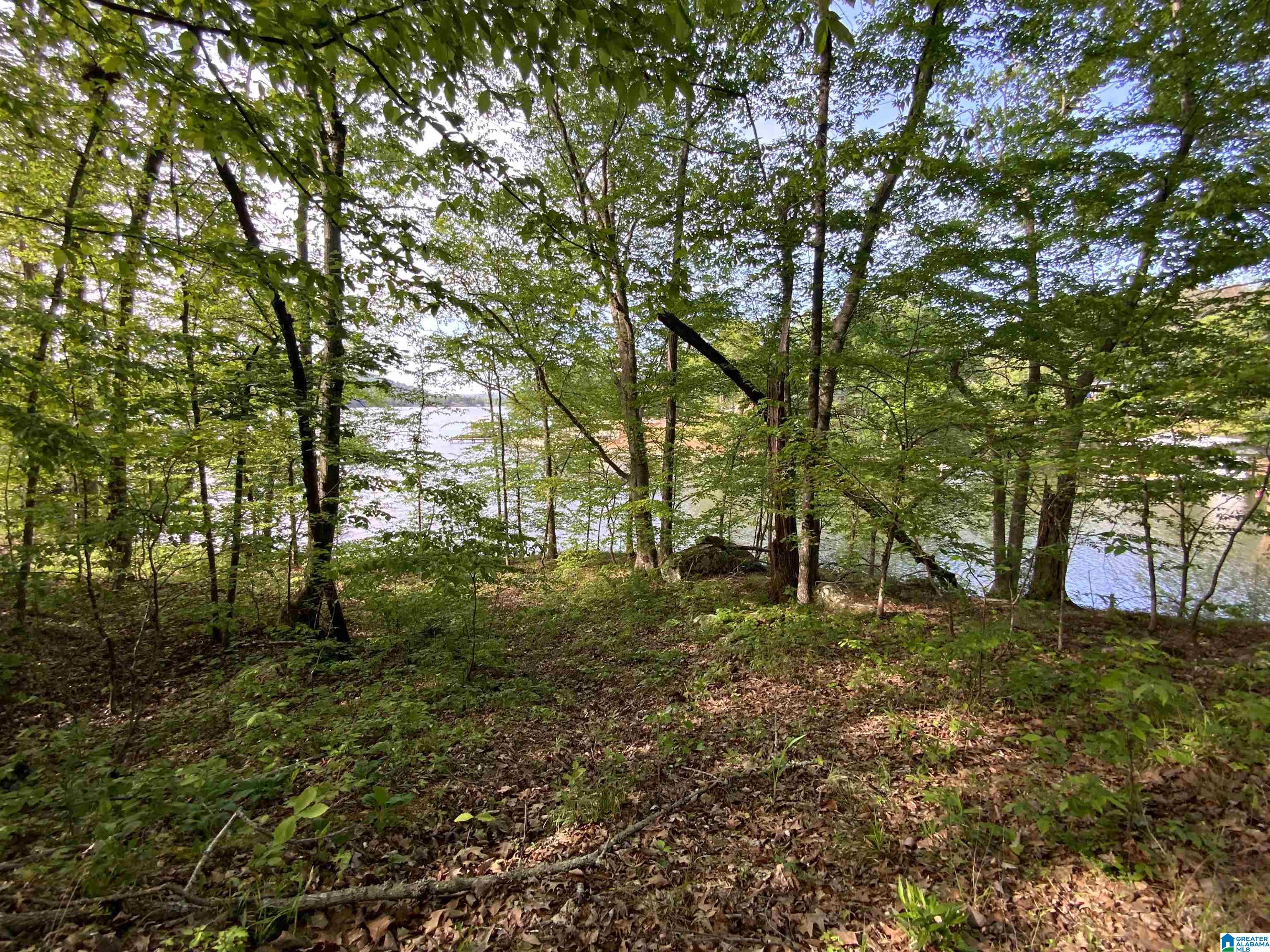 102 Boulder Point Lane, Unit 6 & 7 Ohatchee, AL 36271 - Photo 11 of 42