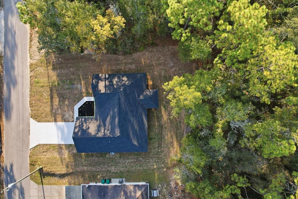 3671 East Ryan Street Inverness, FL 34453 - Photo 39 of 48 a wooden floor with some trees in the background