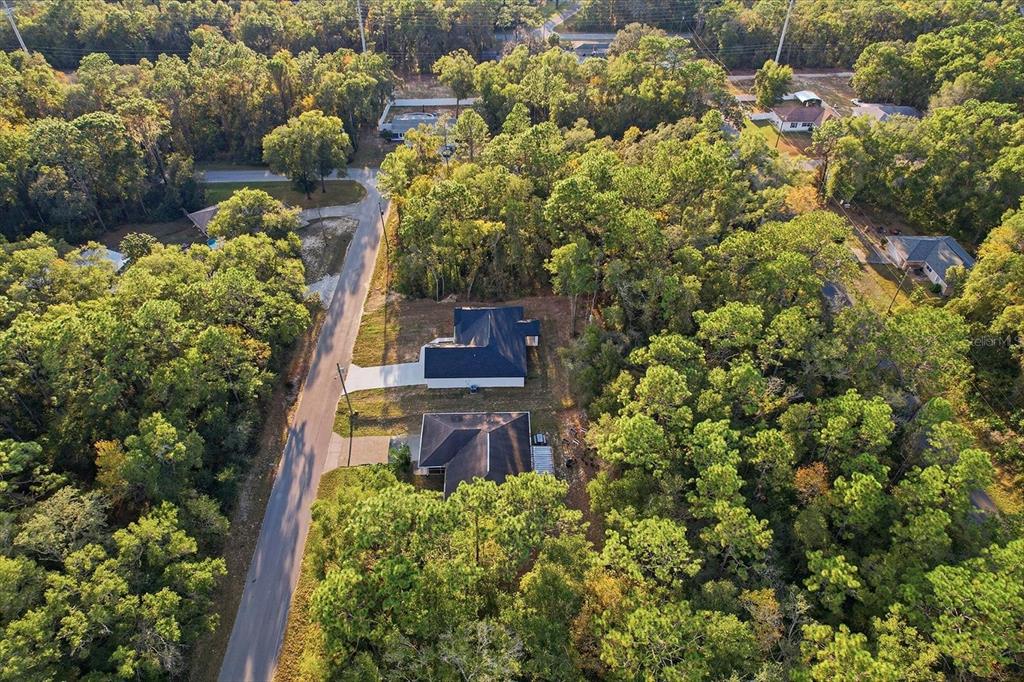 3671 East Ryan Street Inverness, FL 34453 - Photo 40 of 48 a picture of flowers