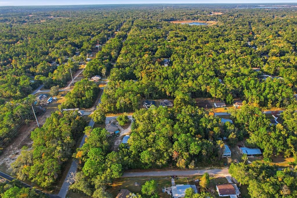 3671 East Ryan Street Inverness, FL 34453 - Photo 42 of 48 an aerial view of residential house with outdoor space and trees all around