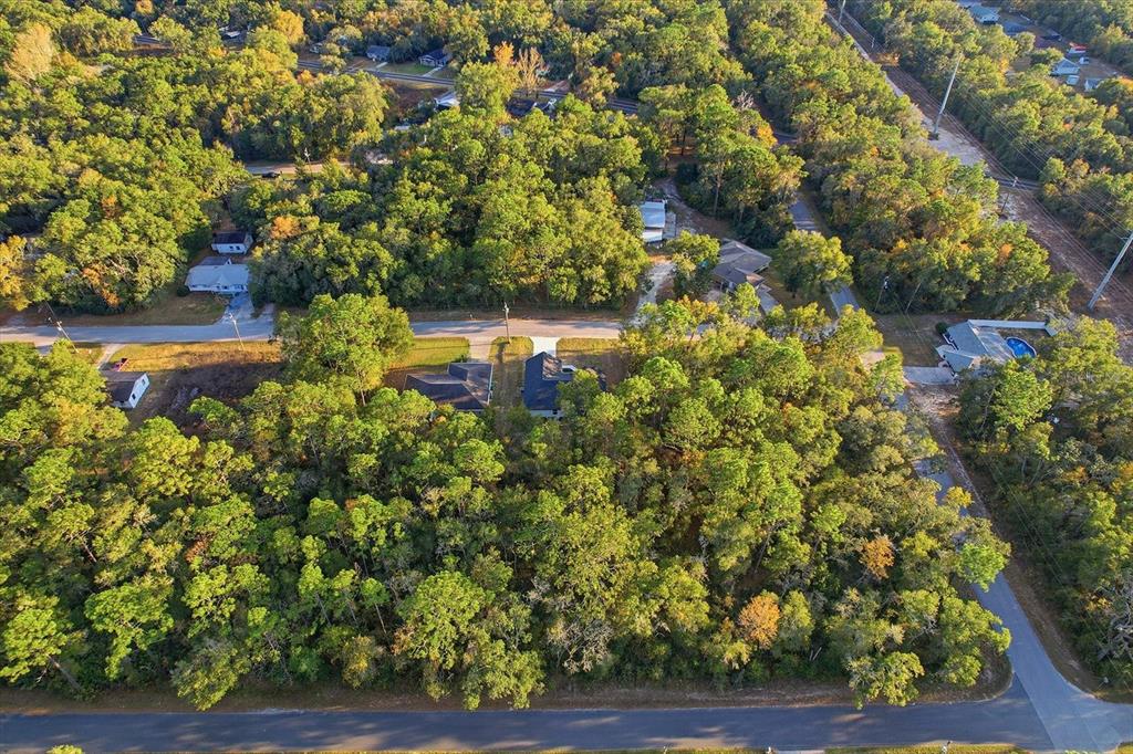 3671 East Ryan Street Inverness, FL 34453 - Photo 48 of 48 a view of a yard with plants