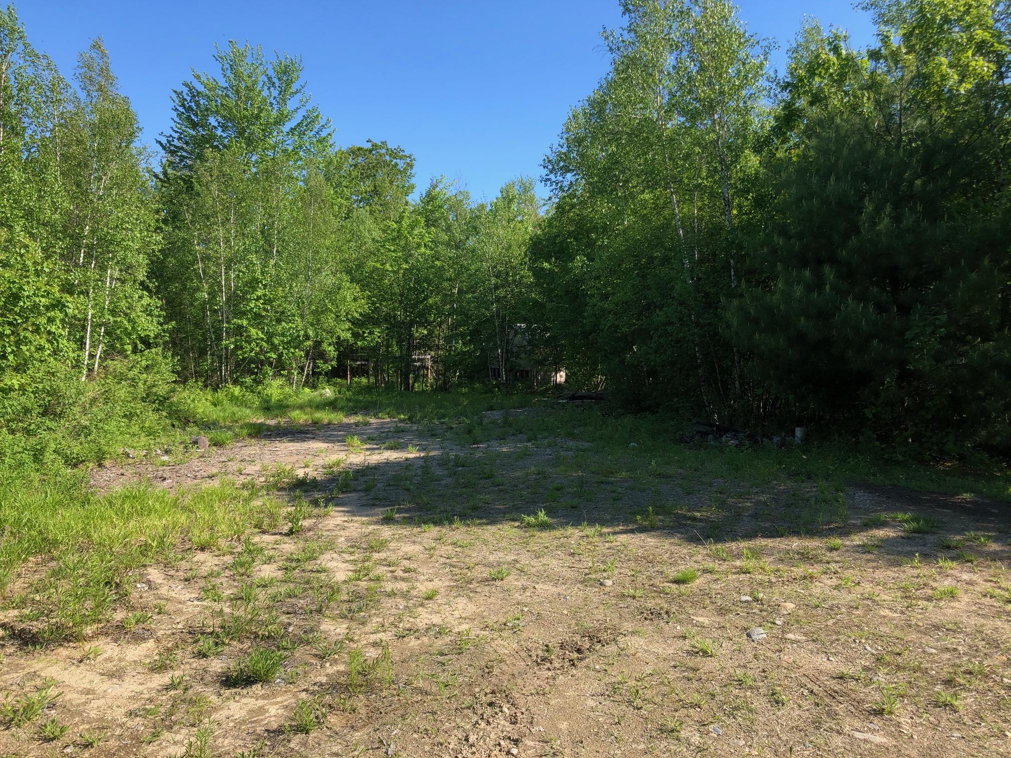 Map12-lot27 Darington Road Hartford, ME 04220 - Photo 5 of 9 clearing