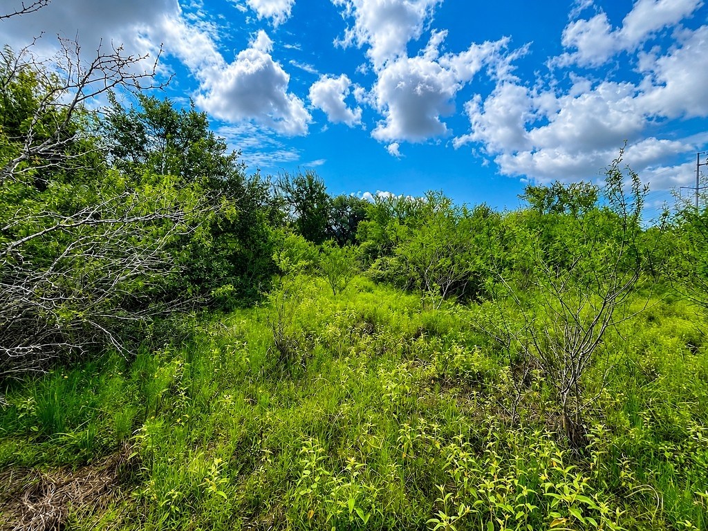 Tbd Water Oak Road Columbus, TX 78934 - Photo 8 of 14