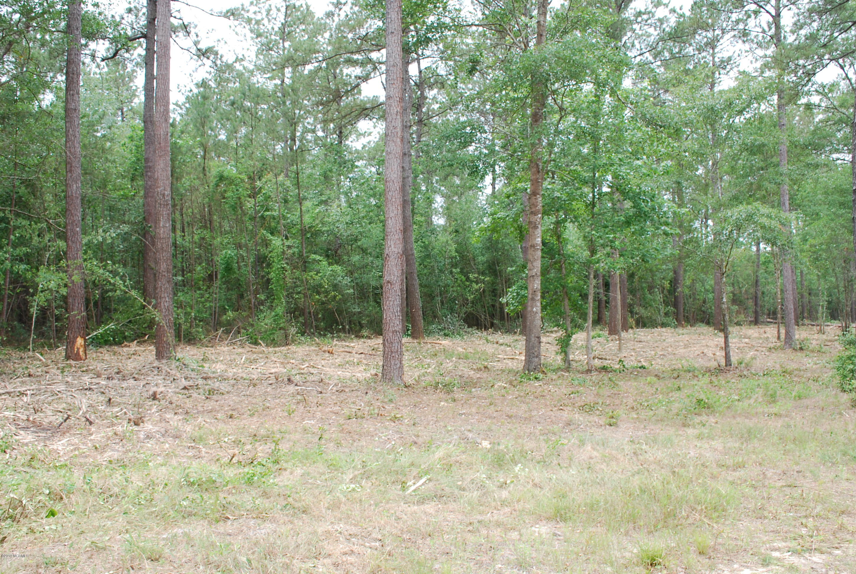 1 Danford Road Bolivia, NC 28422 - Photo 4 of 6 DSC_0785