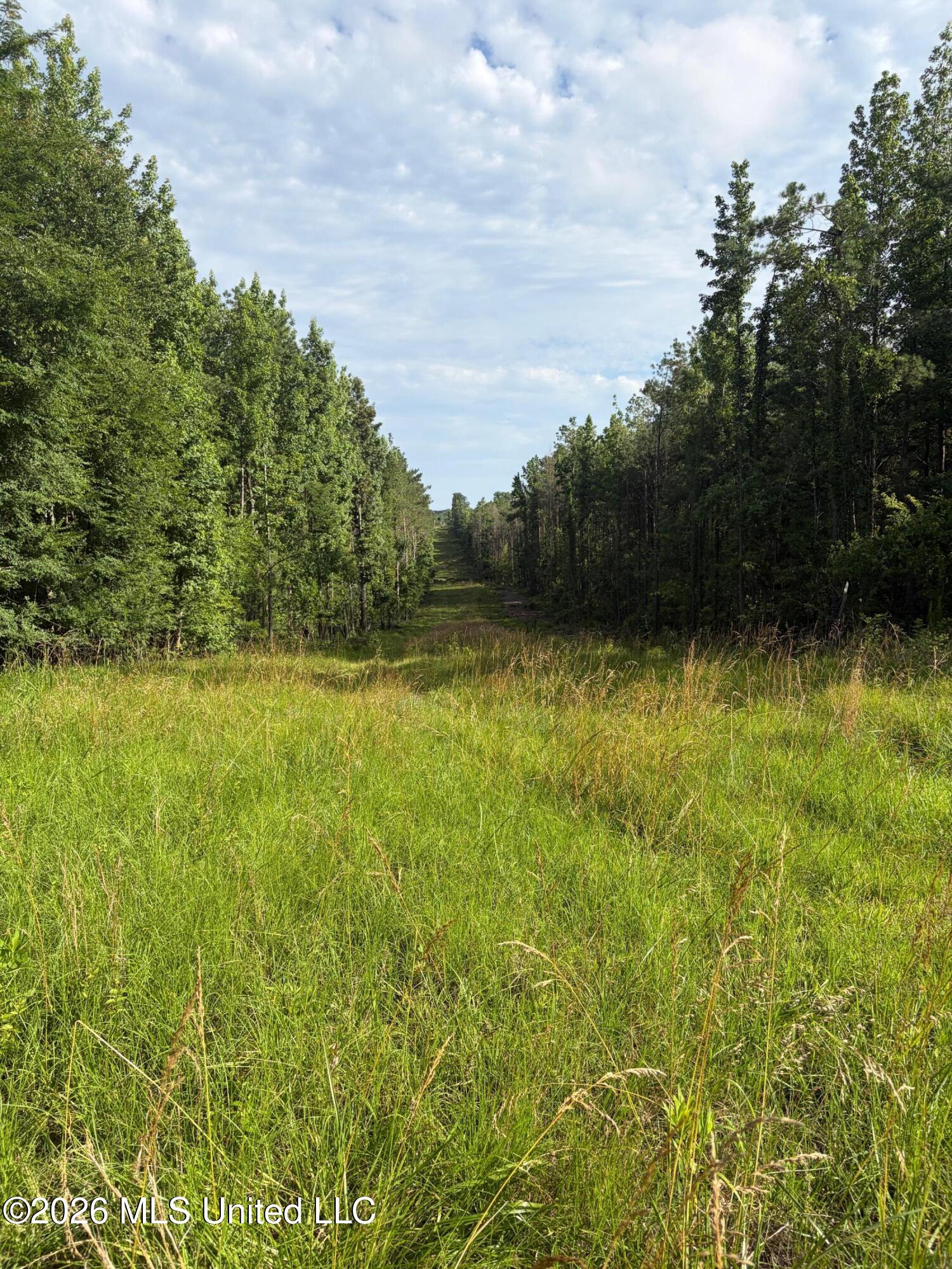 159 County Road Coila, MS 38923 - Photo 6 of 9 IMG_1304