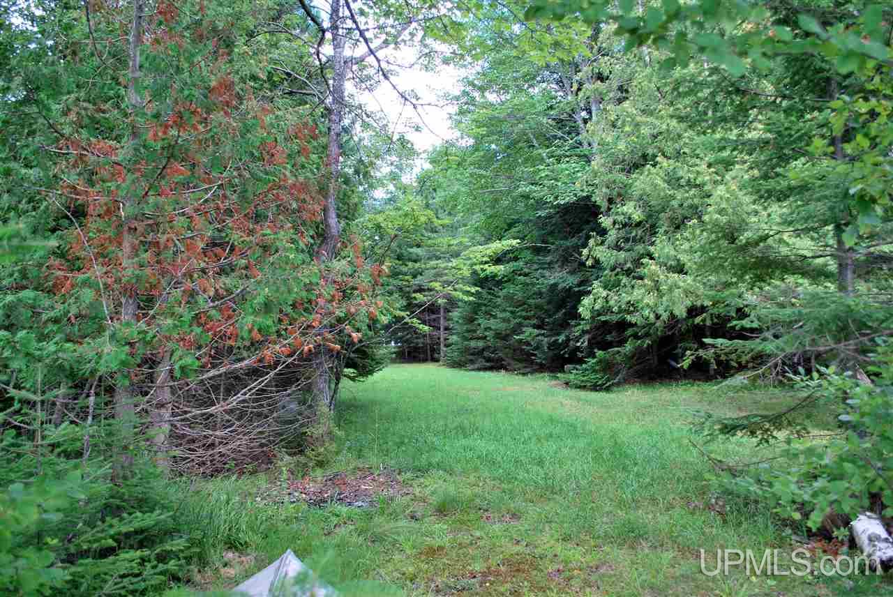 52089 Rice Lake Road Lake Linden, MI 49945 - Photo 19 of 36 Gallery Image 19