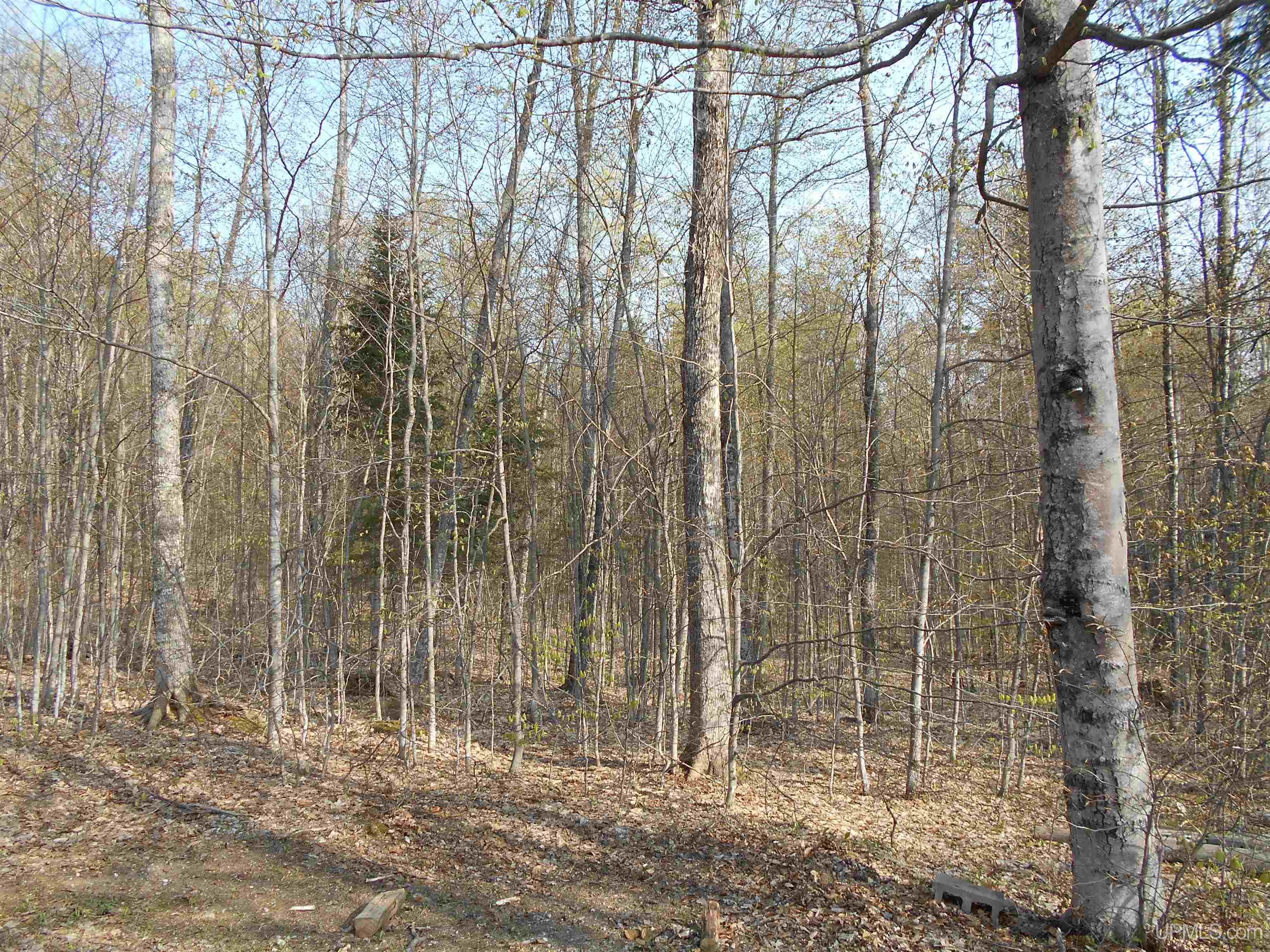 6345 South Northrough Road Wetmore, MI 49895 - Photo 63 of 67
