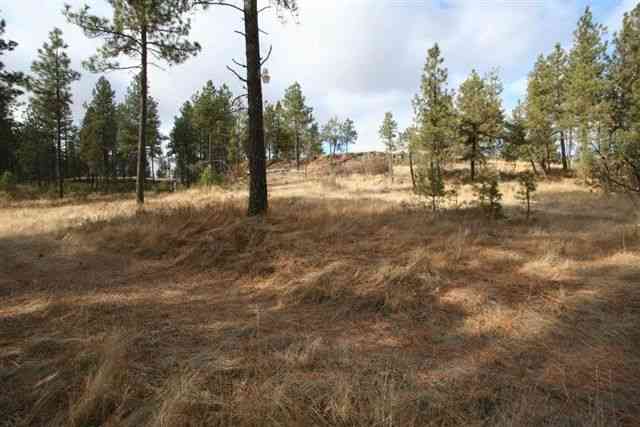 20321 West Coulee Hite Road Spokane, WA 99224 - Photo 3 of 8 Gallery Image 3