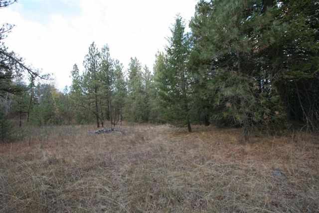 20321 West Coulee Hite Road Spokane, WA 99224 - Photo 4 of 8 Gallery Image 4