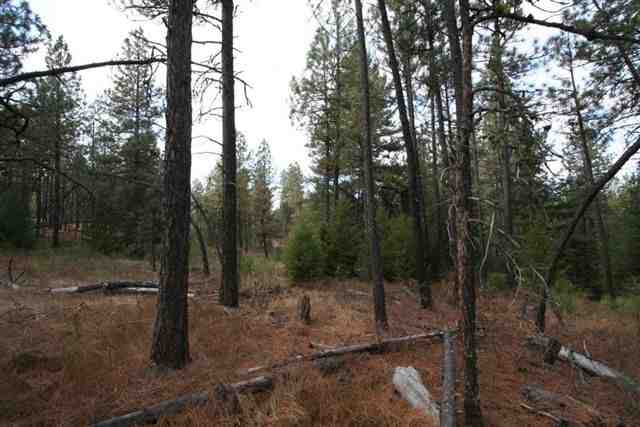 20321 West Coulee Hite Road Spokane, WA 99224 - Photo 5 of 8 Gallery Image 5