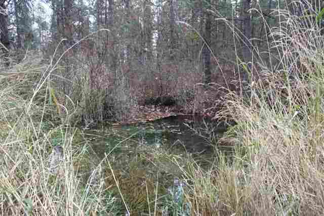 20321 West Coulee Hite Road Spokane, WA 99224 - Photo 6 of 8 Gallery Image 6