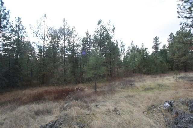 20321 West Coulee Hite Road Spokane, WA 99224 - Photo 7 of 8 Gallery Image 7