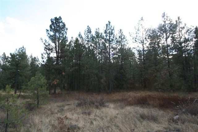 20321 West Coulee Hite Road Spokane, WA 99224 - Photo 8 of 8 Gallery Image 8