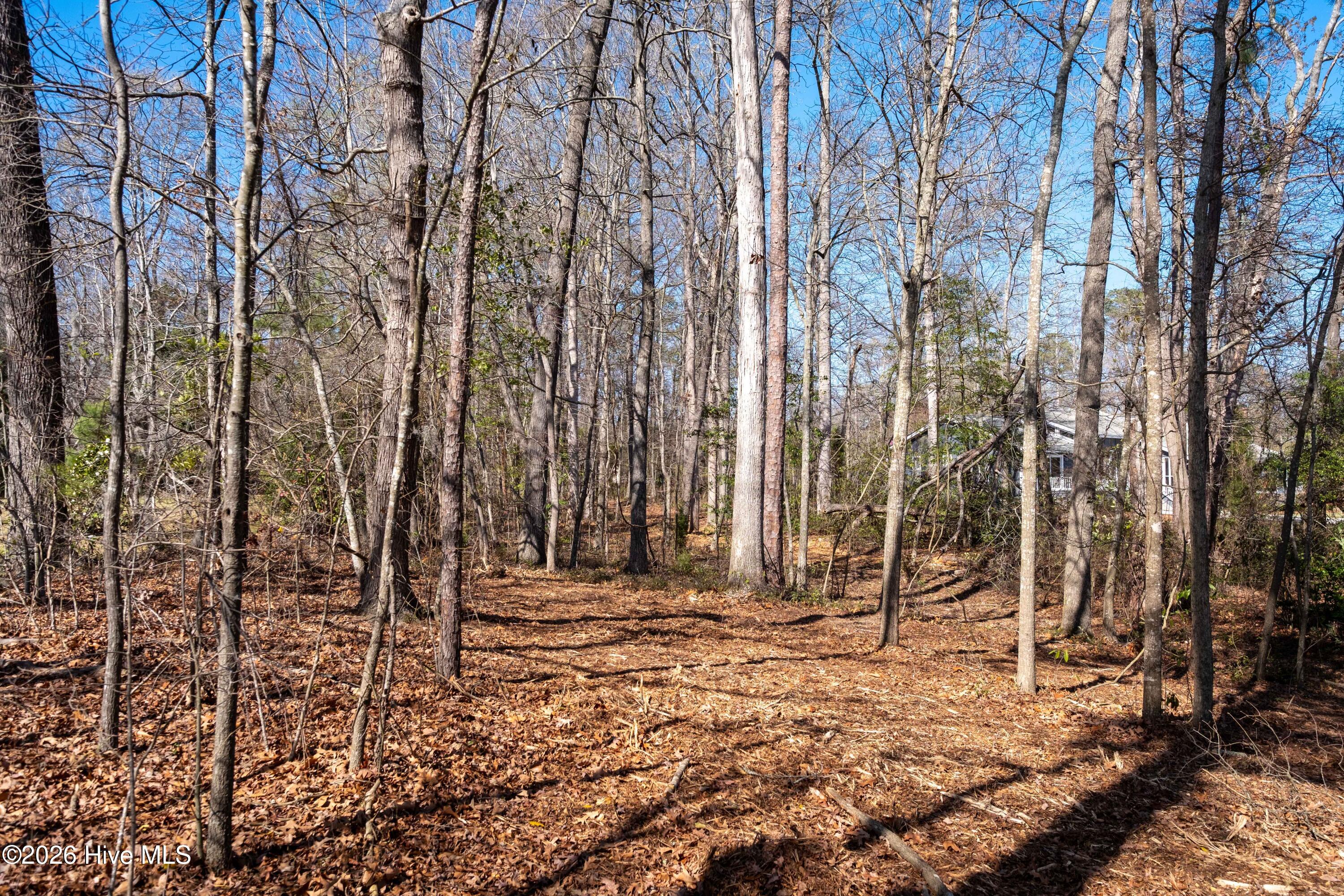 668 Sawmill Landing Road Bath, NC 27808 - Photo 28 of 30 DSCF4117