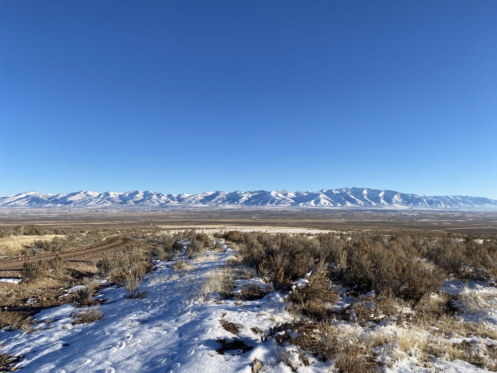 Ruby Avenue Spring Creek, NV 89815 - Photo 4 of 8