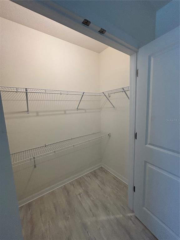 1604 Hubbell Road Wesley Chapel, FL 33543 - Photo 36 of 44