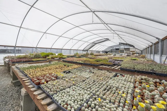 a room with lots of table and chairs