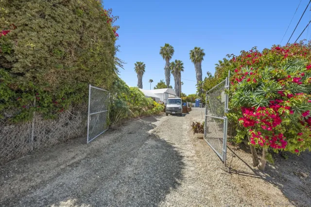 a view of a pathway with a flower garden