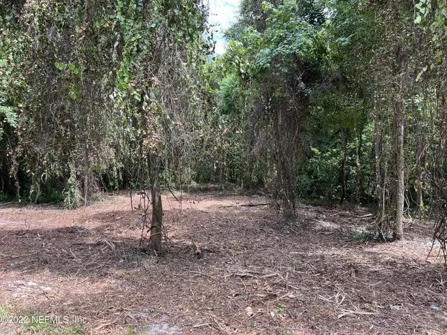 $164,900 | 4070 Honeysuckle Circle, Middleburg, FL 32068