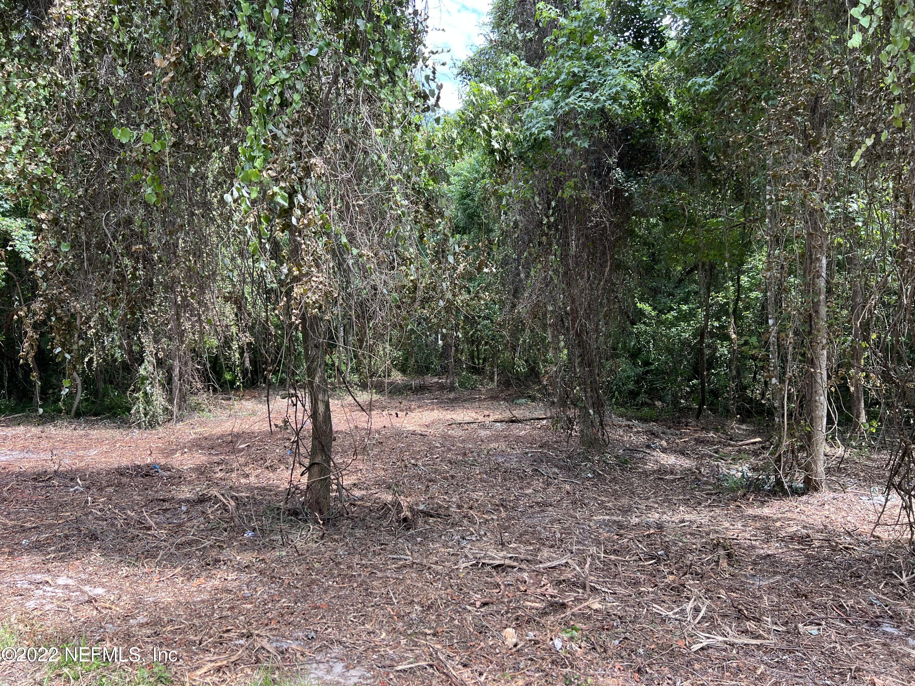 4070 Honeysuckle Circle Middleburg, FL 32068 - Photo 2 of 6 2