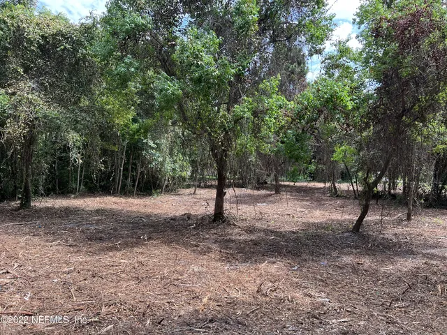 $164,900 | 4070 Honeysuckle Circle, Middleburg, FL 32068