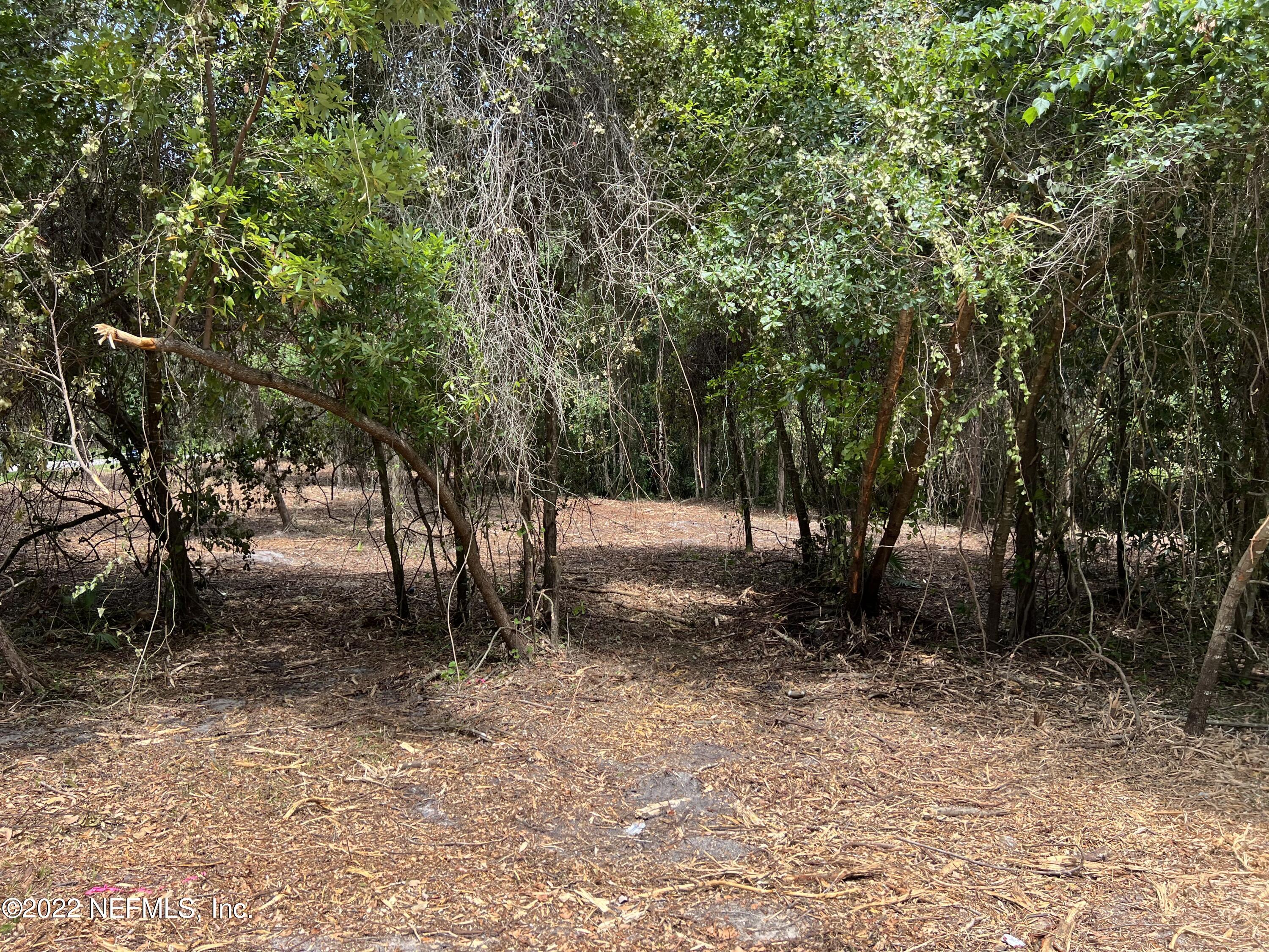 4070 Honeysuckle Circle Middleburg, FL 32068 - Photo 4 of 6 4